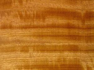 Madera de Iroko