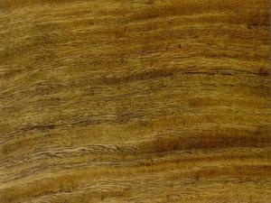 Madera de Elondo-Tali