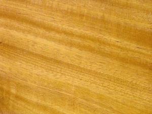 Madera de Tatajuba