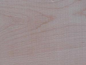 Madera de Haya