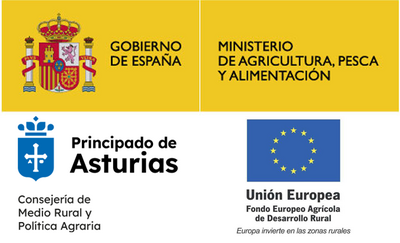GO GECAS - CARACTERIZACIÓN INNOVADORA DE LA MADERA DE CASTAÑO DE GRAN ESCUADRÍA (GOP/15/2023)