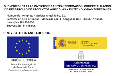 SUBVENCIÓN MAQUINARIA ASERRADERO TRONCOS